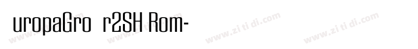 EuropaGroNr2SH Rom字体转换